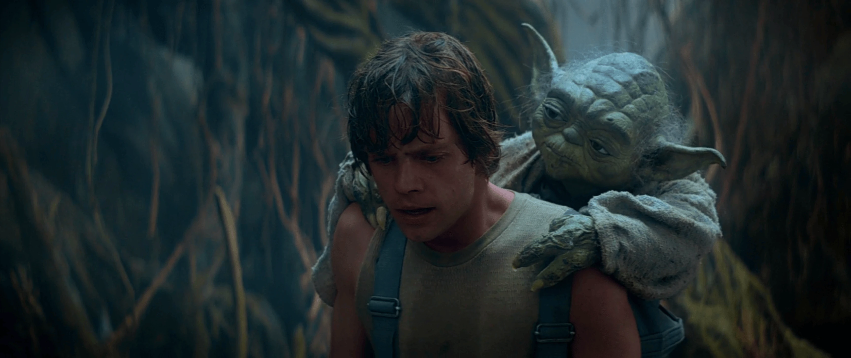 Luke sur Dagobah, l'esprit tourné vers autre chose