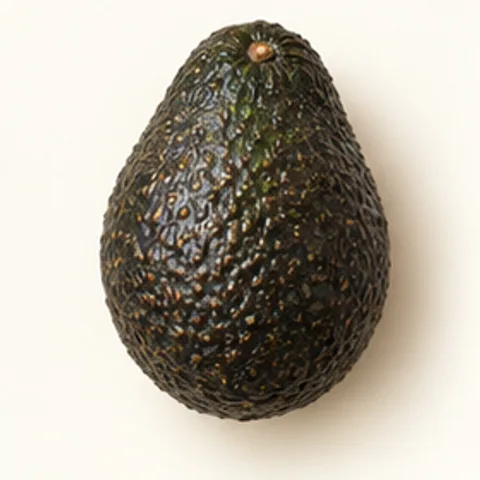 Avocat