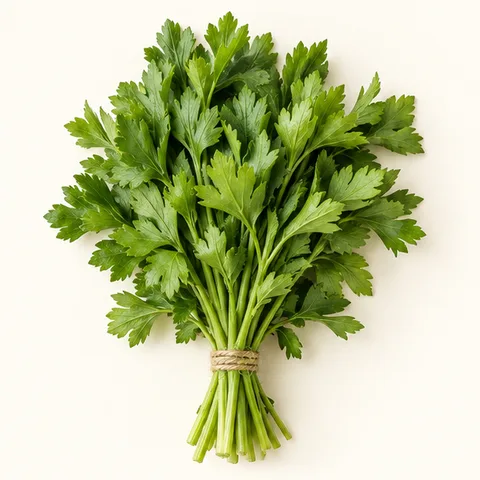 Céleri feuille