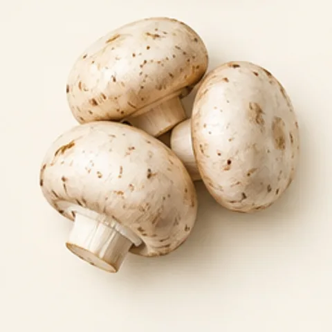 Champignon