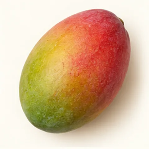 Mangue