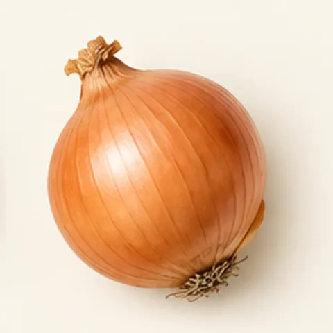 Oignon