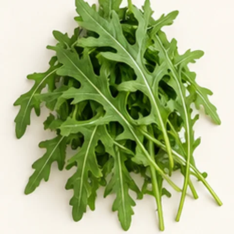 Roquette