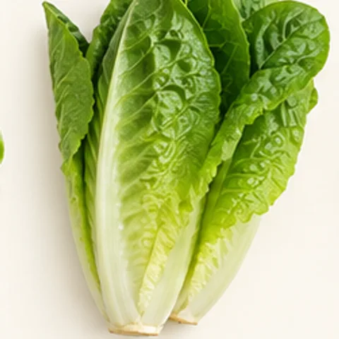 Salade romaine